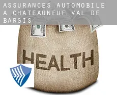 Assurances automobile à  Châteauneuf-Val-de-Bargis