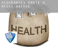 Assurances santé à Weeki Wachee