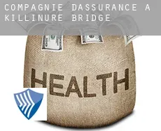 Compagnie d'assurance à Killinure Bridge