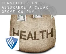 Conseiller en assurance à  Cedar Grove Colony