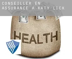 Conseiller en assurance à  Katy Lick