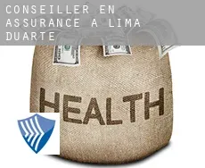 Conseiller en assurance à  Lima Duarte