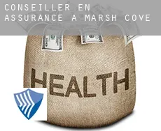 Conseiller en assurance à  Marsh Cove