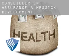Conseiller en assurance à  Messick Development