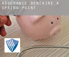 Assurance dentaire à  Spring Point