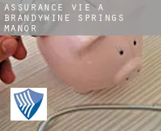 Assurance vie à  Brandywine Springs Manor