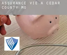Assurance vie à  Cedar