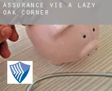 Assurance vie à  Lazy Oak Corner