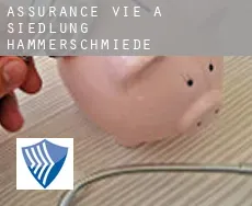 Assurance vie à  Siedlung Hammerschmiede
