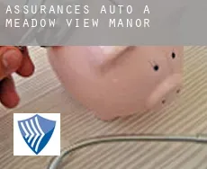 Assurances auto à  Meadow View Manor