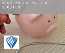 Assurances auto à  Sequals