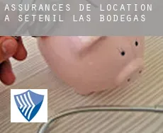 Assurances de location à  Setenil de las Bodegas
