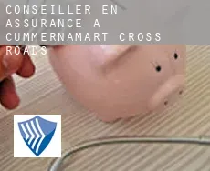 Conseiller en assurance à  Cummernamart Cross Roads