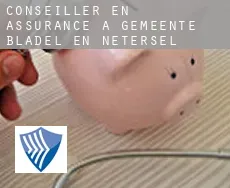 Conseiller en assurance à Gemeente Bladel en Netersel