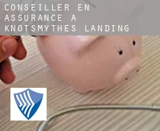 Conseiller en assurance à  Knotsmythes Landing