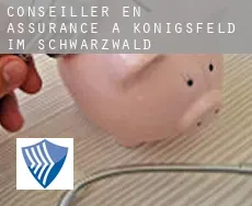 Conseiller en assurance à  Königsfeld im Schwarzwald