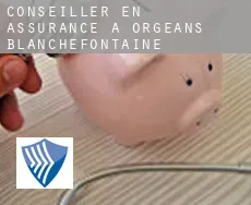 Conseiller en assurance à Orgeans-Blanchefontaine