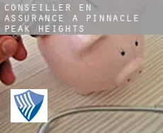 Conseiller en assurance à  Pinnacle Peak Heights