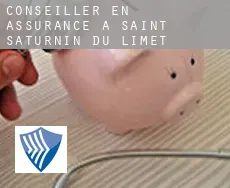 Conseiller en assurance à Saint-Saturnin-du-Limet