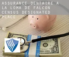 Assurance dentaire à La Loma de Falcon