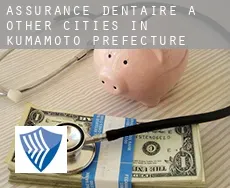 Assurance dentaire à Other Cities in Kumamoto Prefecture