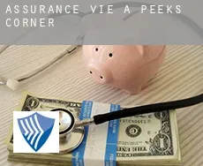 Assurance vie à  Peeks Corner