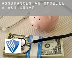 Assurances automobile à  Ash Grove