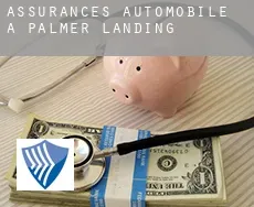 Assurances automobile à  Palmer Landing