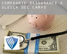 Compagnie d'assurance à  Uleila de Campo