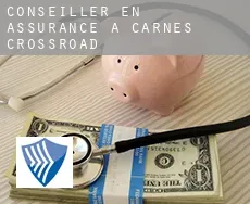 Conseiller en assurance à Carnes Crossroad