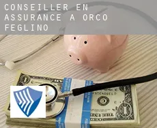 Conseiller en assurance à  Orco Feglino