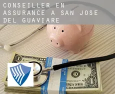 Conseiller en assurance à San José del Guaviare