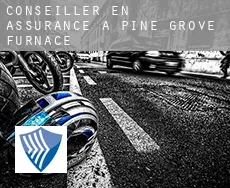 Conseiller en assurance à  Pine Grove Furnace