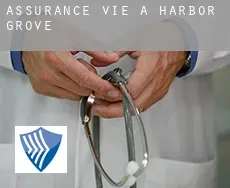 Assurance vie à  Harbor Grove