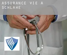 Assurance vie à  Schlahe