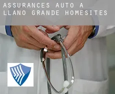 Assurances auto à  Llano Grande Homesites