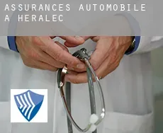 Assurances automobile à  Herálec