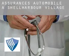 Assurances automobile à  Shellharbour