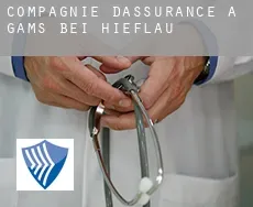 Compagnie d'assurance à Gams bei Hieflau