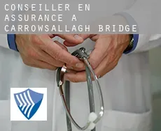 Conseiller en assurance à  Carrowsallagh Bridge