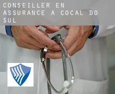 Conseiller en assurance à  Cocal do Sul