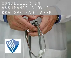 Conseiller en assurance à Dvůr Králové nad Labem