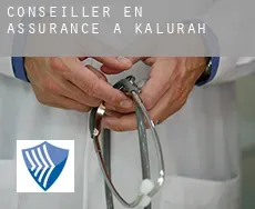 Conseiller en assurance à  Kalurah