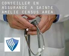 Conseiller en assurance à  Sainte-Amélie (census area)