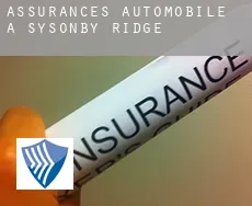 Assurances automobile à Sysonby Ridge
