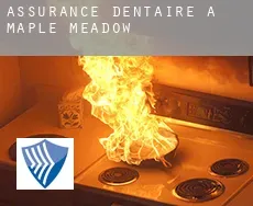 Assurance dentaire à  Maple Meadow