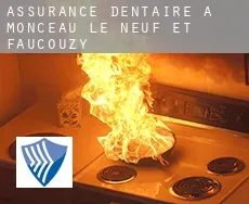 Assurance dentaire à  Monceau-le-Neuf-et-Faucouzy