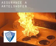 Assurance à  Artelshofen