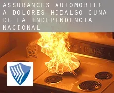 Assurances automobile à  Dolores Hidalgo Cuna de la Independencia Nacional