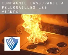 Compagnie d'assurance à  Pellouailles-les-Vignes